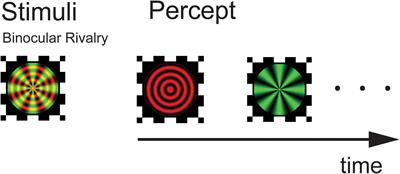 Slower and Less Variable Binocular Rivalry Rates in Patients With Bipolar Disorder, OCD, Major Depression, and Schizophrenia